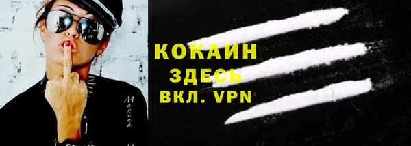 дмт Гусев