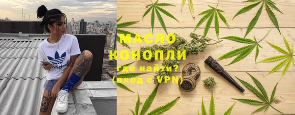 дмт Гусев
