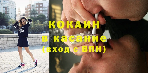 дмт Гусев