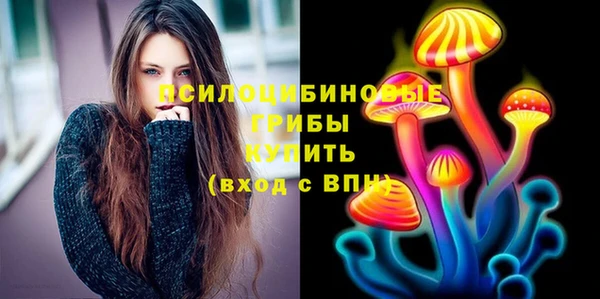 дмт Гусев