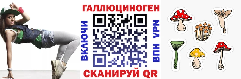 Псилоцибиновые грибы Cubensis  сайты даркнета официальный сайт  Керчь 